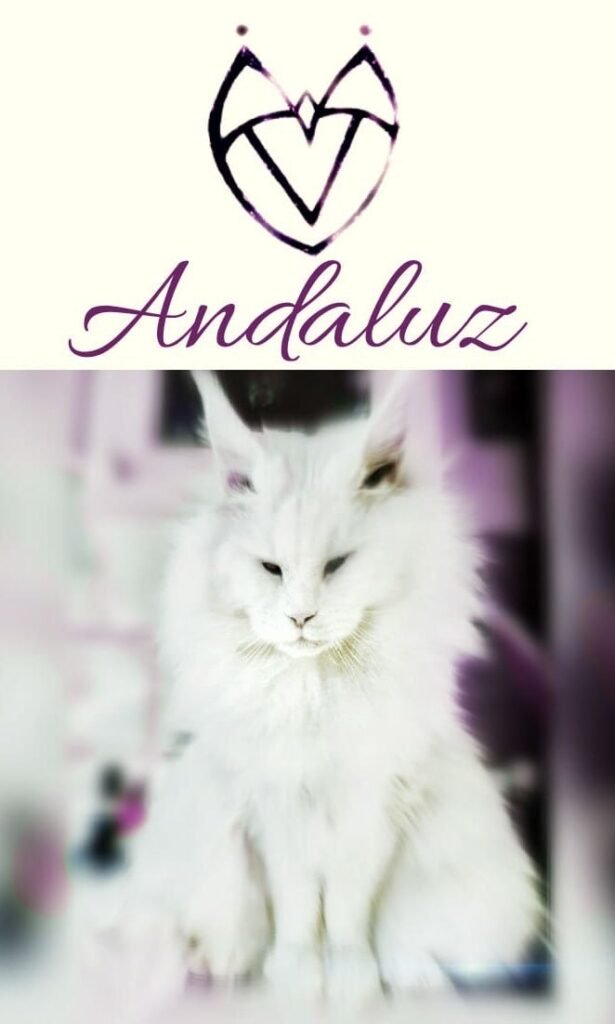 Andaluz